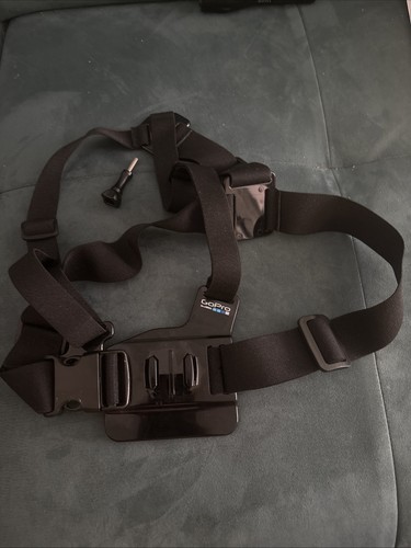 Original pro chest mount - original,