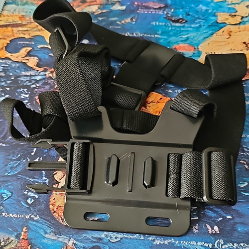 Chest mount harness strap for - chest,