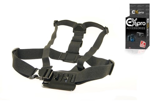Adjustable elastic chest - elastic, strap