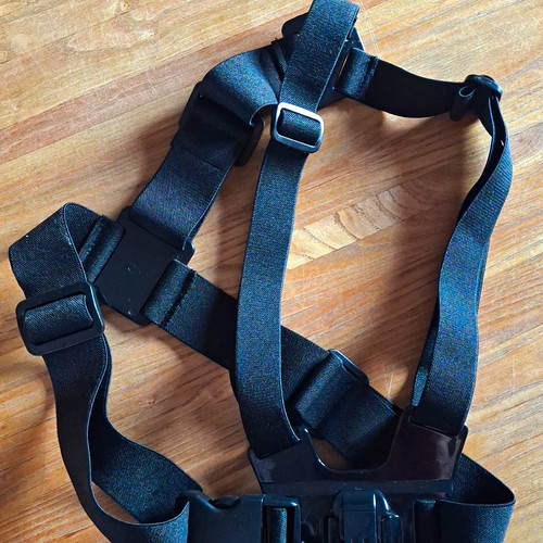 Chest mount for gopro - mount,